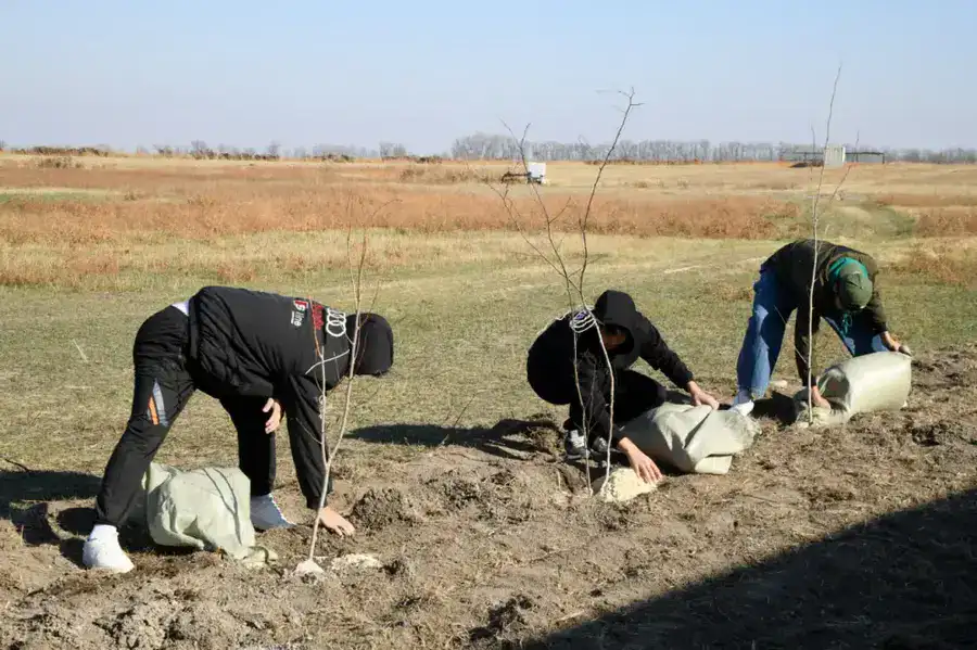 В УНИВЕРСИТЕТЕ ИМЕНИ АБАЯ ОТКРЫТА АГРОБИОСТАНЦИЯ (10)