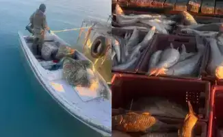 Сети браконьеров: улов мечты стал упряжкой для закона на озере Балхаш