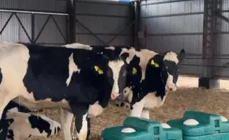 Государственная поддержка сельского хозяйства Актюбинской области 2025 15 млрд тенге