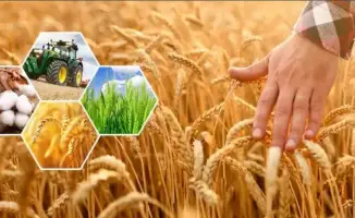 Актюбинская область: сельхозпродукция на 296,8 млрд тенге за 9 месяцев