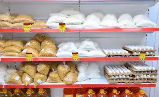 Аграрная революция в Карагандинской области: новые возможности для местных фермеров и экспорт казахстанской продукции