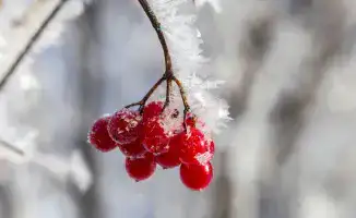 Казахстан столкнется с 20-градусными морозами: прогноз погоды на 13-15 ноября от синоптиков Казгидромета