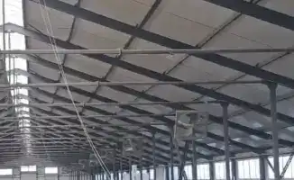 Молочная река Павлодара: первая партия племенных телок из Дании уже в пути к новым вершинам