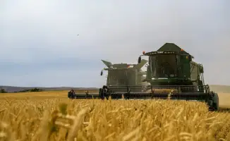 В Жетісу достигнуто 68% переработки сельхозпродукции благодаря новым технологиям и проектам