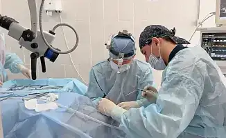 В Караганде стартовала бесплатная программа по протезированию слуховой косточки для пациентов с отосклерозом