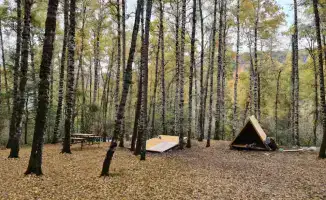Рост туристического потока в Алматы: влияние международного авиасообщения и выставок