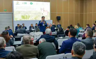 Сайгак на распутье: как сохранить и использовать?