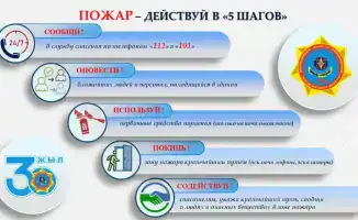 Пламя на горизонте: пошаговый маршрут к безопасности от МЧС