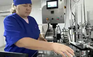 В Коксуском районе увеличилось производство сельхозпродукции, что создает новые рабочие места и способствует экономическому развитию региона.