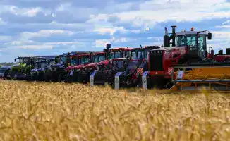 Производство сельхозпродукции в Акмолинской области достигло 1 триллиона тенге