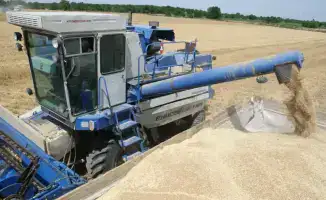 Рост сельского хозяйства в Казахстане на 5,4%