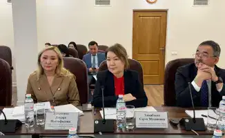 Международные аспекты страхования и тарифной политики в здравоохранении обсуждены на заседании Общественного совета Минздрава