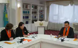 Совершенствование механизмов защиты от домашней агрессии: ключ к обеспечению прав женщин