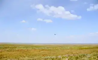 В Абайской области успешно завершено возвращение неиспользуемых сельскохозяйственных земель в госсобственность