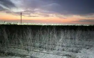 Туркестан: 10 гектаров зелени для нового дыхания