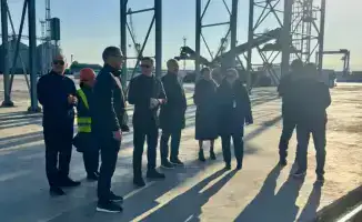 Международные стандарты фитосанитарного контроля: работа постов в актауских портах