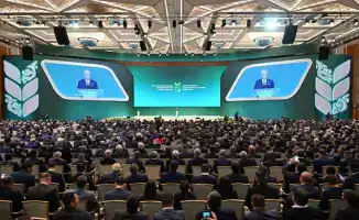 Животноводство: новый двигатель агропрома или просто слова?