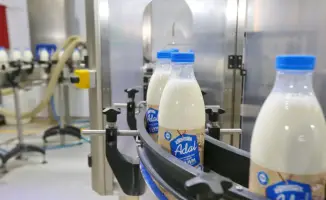 Алматинская область: объем промышленного производства достиг 2,1 трлн тенге, обрабатывающая промышленность на уровне 90%