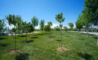 В Туркестане более 40 тысяч человек объединились для очистки города, вывезено 186 тонн мусора