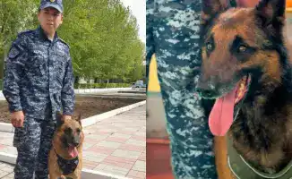 Собаки раскрывают преступления: более 150 дел в Павлодаре!
