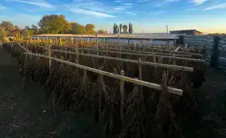 Комитет национальной безопасности усиливает борьбу с наркотрафиком, изъято 622 кг опасных веществ