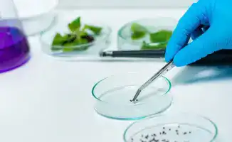 Введение платного карантинного фитосанитарного контроля в Казахстане: шаг к улучшению продовольственной безопасности