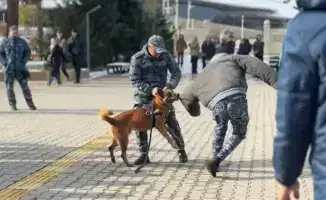 Студенты университета Жетысу впечатлены демонстрацией навыков полицейской собаки
