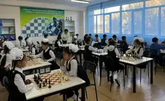 Развитие логического мышления у детей в Карагандинской области через шахматы: перспективы и результаты