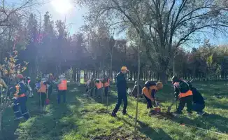 Сайрамский район: Сообщество объединяется для высадки 100 деревьев в поддержку экологической инициативы