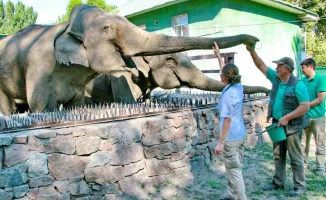 Расширение Алматинского зоопарка: новые участки позволят улучшить условия для животных и увеличить количество посетителей