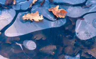 Астана и Алматы: зимние сюрпризы на выходные