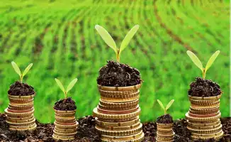 Доступные кредиты под 5% способствуют развитию аграрного сектора Казахстана и созданию новых рабочих мест