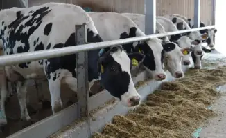 Казахстан: мост между пастбищами и мировыми рынками