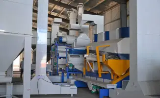 Строительство завода по производству комбикормов в области Абай: вклад в экономическое развитие и создание рабочих мест