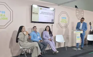 На COP30 в Белене обсуждены ключевые шаги по восстановлению лесов и интеграции усилий в рамках Рио-конвенций