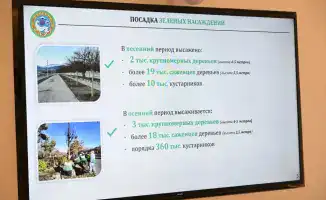 Экологические меры в Алматы программа Таза Казахстан озеленение штрафы
