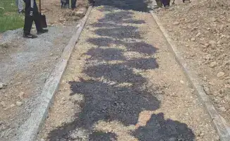 Новые пешеходные тропы: улицы Абайского района стали комфортнее для прогулок