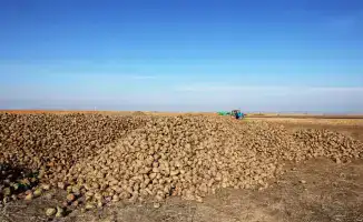 Развитие сахарной свекольной отрасли в Казахстане: визит Ербола Карашукеева в Меркенский район