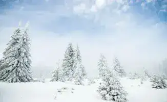Снег и тепло: прогноз погоды в Казахстане на 8-10 ноября