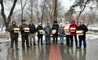 Активное участие горожан в экологической акции: кормушки для птиц в парке Майкудука