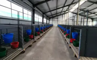 Создание молочно-товарной фермы в Костанайской области: новые рабочие места и рост производства молока