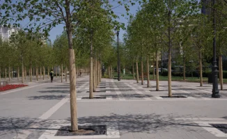 В Астане стоимость импортной липы сопоставима с полугодовой минимальной пенсией казахстанцев, заявляет депутат маслихата Владислав Сергеев