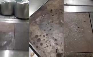 В Алматы временно закрыли детский сад после скандального видео с тараканами на кухне, учреждение откроется вновь после полной дезинфекции.