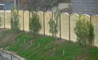 Увеличение зеленых насаждений в Келесе: акция по посадке деревьев как шаг к улучшению экологической ситуации