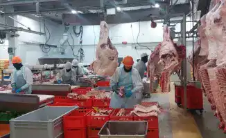 Включение четырех казахстанских предприятий в Реестр импортеров ОАЭ открывает новые экспортные перспективы