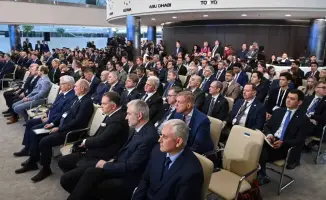 Фанерный завод откроется в Силламяэ