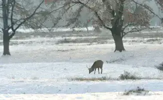 Казахстанцы готовятся к зимним испытаниям: прогноз погоды на начало ноября предупреждает о сильных морозах и метелях
