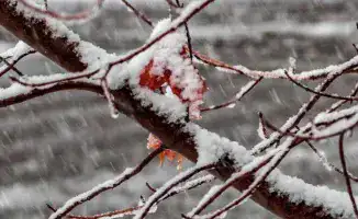 В Казахстане ожидаются зимние погодные условия: снег, метели и морозы с 2 по 5 ноября.