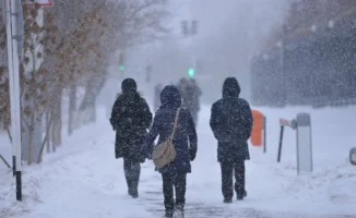 Суровые зимние условия: как морозы и метели повлияют на жизнь Астаны и Алматы до конца ноября