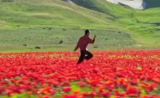 Казахстан в объективе Instagram: как социальные сети открывают мир красоты и культуры страны